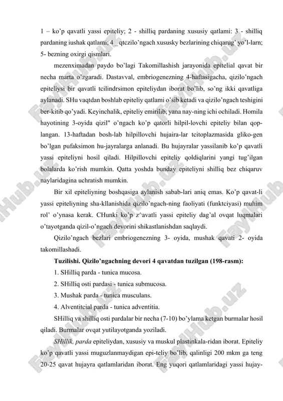 oylashsa, ba’zan ular limfoid follikul hosil qilishi mumkin. shilliq pardaning xususiy plastinkasida qizilo’ngachning kardial bezlari joylashadi. ular to’da-to’da bo’lib 2 gruppani tashkil qiladi. yuqori gruppa kardial bezlar hiqildoqning uzuksi-mon tog’ayi va kekirdakning 5- halqasi sohasida, pastki to’dasi esa quyi qismida - qizilo’ngachning me’daga o’tish erida yotadi. bu bezlar me’daning kardial bezlariga o’xshash tuzilgan. bez-larning oxirgi bo’limlari shilliq ishlab chiqaruvchi tcilindrsi-mon yoki kubsimon hujayralardan iborat bo’lib, ba’zan ular orasida pariegal hujayralar ham uchraydi. bez naylari epiteliy yuzasiga ochiladi. qizilo’ngachning kardial bezlari ko’p miq-dorda endokrin hujayralar tutadi, ular asosan bezning oxirgi bo’limlarida, qisman chiqaruv naylarida joylashgan. bu hujay-ralar me’da-ichak nayining ec, ecl va boshqa hujayralariga o’xshaydi. qizilo’ngachning kardial bezlarining tuzilishi, joylashishi va funktciyasini bilish shifokorlar uchun muhim ahamiyatga ega, chunki ular joylashgan erda ko’pincha qizilo’ngachning ikkilamchi bo’shliqlari, kistalari, yaralari va o’smalari hosil bo’ladi. shilliq pardaning mushak plastinkasi elastik tolalar turi bilan o’ralgan silliq mushak hujayralaridan tuzilgan. ular bo’ylama joylashadi va quyi tomonga …