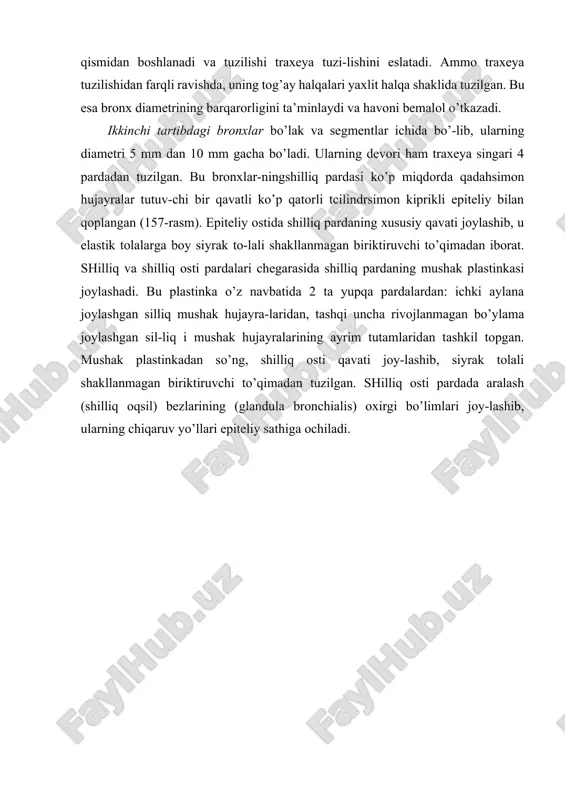 to’qimadan tuzilgan adventitciya pardasi yotadi. bronx diametrining kichrayishi bilan tog’ay plastinkalari-ning kichiklashishi va kamayishi, shilliq pardaning mushak plastinkasida esa mushak tolalarining ko’payishi kuzatiladi. iirik bronxlar tarmoqlanib, diametri 2-5 mm bo’lgan o’rta kalibrdagi bronxlarni hosil qiladi. bu bronxlar bo’lak osti bronxlari ham deb ataladi. ular yuqorida qayd qilingan bronx-larning tuzilishini asosan qaytarsa ham, lekin ba’zi tomon-lari bilan farq qiladi. urta bronxlarda ko’p qatorli tcilindrsimon epiteliy past-roq, qadahsimon hujayralar kamroq, ammo shilliq pardaning muskul plastinkasi kuchliroq rivojlangan bo’ladi. shilliq osti pardada bezlar kamroq bo’lib, gruppa-gruppa bo’lib joyla-shadi. fibroz-tog’ay pardasi tolali biriktiruvchi to’qimalardan iborat bo’lib, uning tarkibida elastik xarakterga ega kichik tog’ay plastinkalari (tog’ay orolchalari) ni uchratish mumkin. tashqi adventitciya pardasi siyrak shakllanmagan biriktiruvchi to’qimadan tuzilgan bo’lib, u bo’lakchalararo biriktiruvchi to’qi-maga o’tib ketadi. urta kalibrdagi bronxlar tarmoqlanib, dia-metri 1-2 mm bo’lgan kichik yoki o’pka ichki bronxlarini hosil qiladi. bronxlarda epiteliy kiprikchali bo’lsa ham, ammo bir qatorli tcilindrsimon bo’lib qoladi. qadahsimon hujayralar yo’qola boshlaydi. …