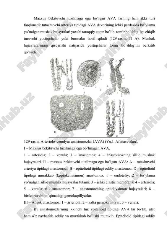 ola 2–4 ta tarmoqqa bo’linadi, so’ngra venoz segmentiga o’tadi. bu tarmoqlar yagona umumiy biriktiruvchi to’qimali kapsula bilan o’ralgan (129-rasm, ii d). bunday anastomozlar qo’l panjalarining terisida ko`plab uchraydi. anastomoz devoridagi epiteliysimon hujayralar suvni o’ziga shimib, shishish xususiyatiga ega bo’lganligidan tomir bo’shlig’i torayishi yoki butunlay bekilib qolishi mumkin. bu hujayralardan suyuqlikni chiqishi esa anastomoz orqali qon oqishini ta’minlaydi. ana shunday tarzda anastomoz orqali qon harakati boshqariladi. atipik ava lar (yarimshuntlar) da arteriola va venula bir-biri bilan kalta kapillyar tipidagi tomir orqali birlashadi (129-rasm, ii). bu tomir devori orqali qisman modda va gaz almashinuvi sodir bo’ladi, shu sababli venulaga qisman aralash qon quyiladi. a’zolar orqali qon oqimini boshqarishda va qon bosimini bir maromda ushlab turishda arteriolo-venulyar anastomozlarning ahamiyati juda katta. ular tufayli a’zolar o’z zaruriyatiga yarasha qon bilan ta’minlanadi. a’zo yoki uning bir qismi ish bajarayotgan bir paytda qonning ko’p qismi ava lar orqali to’g’ridan-to’g’ri venalarga yo’naladi. qonni kapillyarlar orqali o’tkazish zaruriyatining …