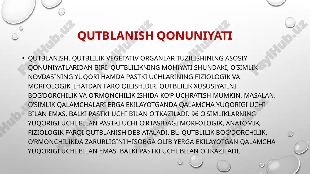 an bir-biridan farq qiladi. ikki pallali o‘simliklarda asosiy ildiz baquvvat bo‘lib, yon ildizlardan ajralib turadi va u tik yunalishda tuproqqa kirib boradi, bunday ildiz o‘q ildiz deb ataladi. yantoq, kakra o‘simliklarining o‘q ildizi tuproqqa 15—20 metrgacha kirib boradi. madaniy o‘simliklar ko‘chat qilib ekilganda ildiz uchidagi hosil qiluvchi to‘qimalar uzilib qoladi. shunga ko‘ra o‘q ildizning uchi chilpib tashlansa, hosildorlik oshadi. chunki bunda yon ildizlar o‘sib, ko‘proq yotiq ildizlar joylashadi va tuproqdagi mineral moddalardan o‘simlik rivojlanishida ko‘proq foydalanishga imkoniyat vujudga keladi. popuk ildizli sistemada asosiy ildiz o‘sishdan to‘xtasa yoki shikastlansa, poyaning asosidan bir xil uzunlikdagi bir qancha qo‘shimcha ildizlar shakllanib, ular popuk holatda joylashadi. bunga g‘alladoshlar oilasiga mansub o‘simliklardan arpa, bug‘doy va suli misol bo‘la oladi. ildiz uchi ildiz qini (yoki g‘ilofi) bilan qoplangan bo‘lib, apikal meristemani muhofaza qilish vazifasini bajaradi. ildiz qinini tashkil etuvchi hujayralar o‘zidan shilimshiq modda ishlab chiqaradi. bu esa tuproq zarrachalarini ildiz va ildiz tukchalarga yaxshiroq yondashishini, tuproqda …