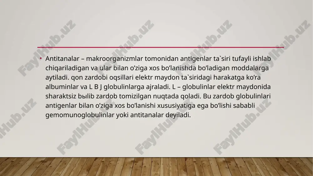 ‘zi ham antigen bo‘lishi mumkin. qarshi zardoblar yordamida antitelolarning serologik xillari aniqlanadi. antitelolarni plazmatik hujayralar sintez qiladi. immunoglobulinlar biosintezi oqsil sintezidan farq qilmaydi, ammo bu jarayonning o‘ziga xos xususiyati mavjud. bunda bitta peptid sintezi, ikkita yoki undan ortiq genlar tomonidan nazorat qilinadi. antitelo biosintezi quyidagi ko‘rinishda kechadi: immunoglobulinlarning yengil va og‘ir zanjirlarini sintez qiluvchi genlar har xil xromosomalarda joylashgan. shu bois bir necha poliribosomalarda sintez qilingan l-va h zanjirlari endoplazmatik retikulumga imimmoglobulinni yig'ish uchun olib kelinadi. keyingi bosqichda molekula golji apparatiga yuboriladi, u yerda immunoglobulinga uglevod komponentlari qo‘shiladi (ch3 domenga) va shu bilan immunoglobulinning yig'ilishi tugallanadi. antitelolarga etil spirti va past harorat (00 c dan – 400 c gacha) ta'sir etmaydi. antitelolar 70 0 c haroratda 1 soat qizdirilsa denaturatsiyaga uchraydi. tuzlar (magniy, ammoniy, natriy sulfatlar) oqsilni cho‘kmaga tushiradi, ammo denaturatsiya qilmaydi. shu sababli bu omillar immun zardoblarni fraksiyalarga ajratishda va toza antitelolar olishda ishlatiladi. immunoglobulinlar hosil bo'lishida irsiyat muhim …