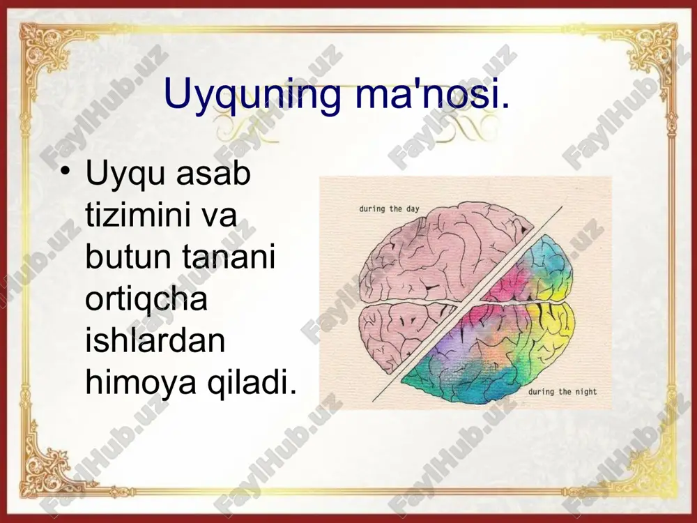 uyqu va uning ahamiyati - Page 3