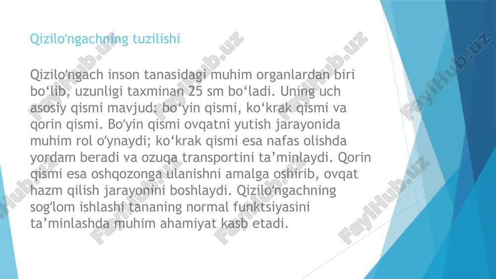 i va to'qimalarning yomon ta'minlanishiga sabab bo'lishi .mumkin qizilo ngachdagi o'zgarishlar va patologiyalarʻ umumiy o'zgarishlar , qiziloʻngachdagi o'zgarishlar genetik omillar . va tashqi muhit natijasida yuzaga keladi , ushbu o'zgarishlar qiziloʻngachning funksiyasini yaxshilashi yoki patologiyani .oldini olishi mumkin nuqsonlar tahlili tug'ma va orttirilgan nuqsonlar qiziloʻngach . funksiyalariga zarar yetkazadi bu nuqsonlar rivojlanish muammolarini keltirib chiqarishi .mumkin har bir nuqsonning ta'siri har bir nuqson o'ziga xos ta'sir . , ko'rsatadi masalan tug'ma nuqsonlar yutish qiyinchiliklarini keltirib chiqarishi .mumkin salomatlik uchun xavflar , qiziloʻngachdagi patologiyalar kuchayib . saratonga olib kelishi mumkin bu umumiy salomatlikka salbiy ta'sir .ko'rsatadi qizilo ngach kasalliklariga kirishʻ qizilo ngach kasalliklari – bu qizilo ngachning tuzilishi va funksiyalariga ta'sir qiluvchi turli ʻ ʻ patologiyalardir. ular orasida achalaziya, gerd va barrett qizilo ngachi kabi keng tarqalgan ʻ kasalliklar mavjud. o'zbekiston kontekstida, qizilo ngach kasalliklari turli omillarga bog'liq ʻ ravishda keng tarqalgan bo'lib, ular sog'liqni saqlash tizimida muhim o'rin egallaydi. qizilo …