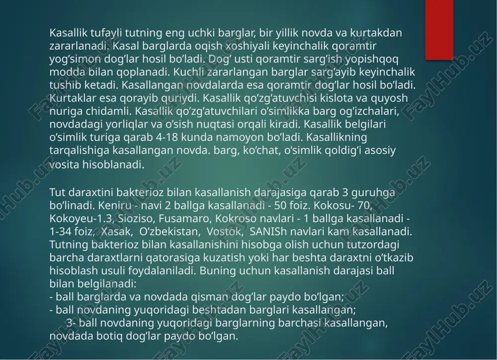 ng 1-4 % yuzasini koplab oladi xolos. barg yuzasida ham bargning jigar rangga kirishi ancha zaif bo`ladi.  kasallik qo`zg’atuvchisi tutda kleystokarpiylar hosil qilib ishlaydi. ular dastlab bargda hosil bo`ladi. kleystokarpiylar mikdorini n.g.zaprometov ma`lumotlariga asosan bargdagi tarqalishini hisoblash asosida kuyidagi rakamlar aniqlangan:  i- ball bargning 1 sm" yuzasida 129 ta kleystokarpiylar;  ii- ball bargning 1 sm" yuzasida 149 ta kleystokarpiylar;  iii- ball bargning 1 sm" yuzasida 193 ta kleystokarpiylar; urtacha ball bargning 1 sm" yuzasida 153 ta kleystokarpiylar.  o`simlikning bitta bargida mavjud kleystokarpiylar soni 4128 gani tashqil qiladi. ular o`simlikning nafakat bargida, balki tuproqda va novdalarda xam saqlanadi. novdadagi 1 sm yuzada 125 tagacha kleystokarpiylar hosil bo`ladi. 3.tut bargning maydalashib bujmayishi  tut daraxtida uchraydigan kasalliklar orasida virus kasalliklari ham ko’p uchraydi. bu kasallik gruziyaning g’arbiy hududlarida keng tarqalgan kasallik hisoblanib, keyingi yillarda respublikamizdagi ayrim xo’jaliklarda uchrashi aniqlanmokda (azimjonov 2001). kasallik tufayli tutning barg miqdori va …