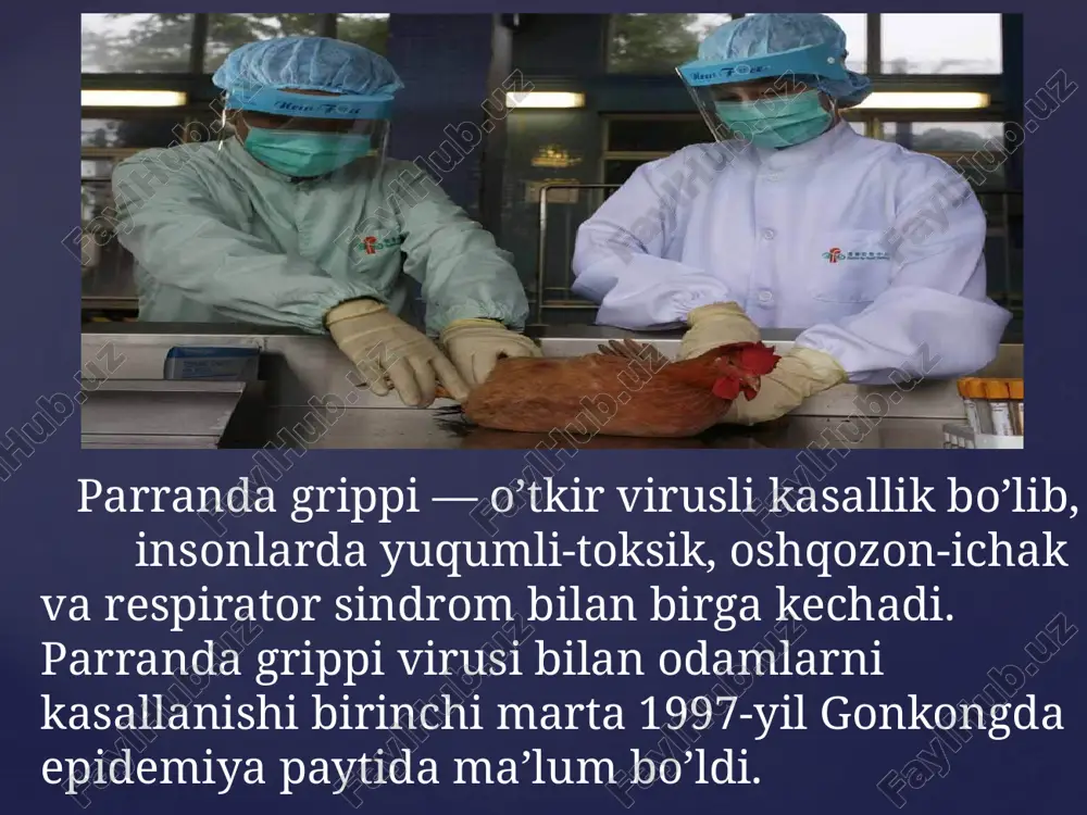 parranda grippi - Page 3