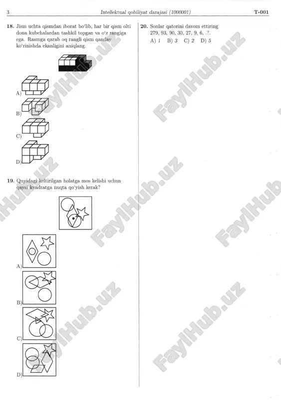 iq test namuna argos - Page 3