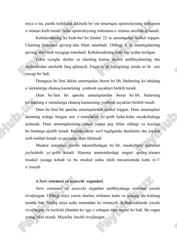 iya gumbazi yoki neopallium murtagi farq qilinadi. oraliq miya miya yarimsharlari bilan yopilib turadi. oraliq miyaning tagida joylashgan gipofiz tashqi muhitdan axborotlarni qabul qidib oladi. o`rta miya ko`rish axborotlarini qabul qilish va ishlash markazi bo`lib qoladi. reptiliyalarning miyachasi amfibiyalarning miyachasiga nisbatan ancha katta, chunki reptiliyalarning harakati xilma-xil va murakkabdir. uzunchoq miya vertikal tekislikda keskin bukiladi, bu hol barcha amniotalarga xosdir. orqa miyada oq va kulrang moddalar bir-biridan ajralib turgani aniq ko`rinib turadi. orqa miyadan orqa miya nervlari chiqadi va tipik elka hamda chanoq chigallarini hosil qiladi. ko`rish organi havo muhitida ishlashga moslashgan. ko`zlari ustki, pastki qovoqlar va pirpiroq parda bilan himoyalangan. ko`zida qon tomirlarga boy bo`lgan o`simta — taroq bo`lishi xarakterlidir. ko`zning akkomodatsiyasida ko`ndalang-targ`il muskullar ko`z gavharini birmuncha siljitish bilan birga uning shaklini ham o`zgartiradi. ko`z soqqasi botib kira olmaydi, balki aylanadi xolos. eshitish organi faqat ichki va o`rta quloqdan tashkil topgan, lekin ancha murakkab tuzilgan, ya`ni quloq chig`anog`i kattaroq …