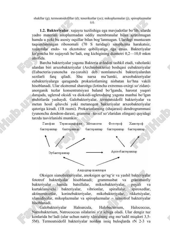 lda replikatsiya qiladi. viroidlar translyatsiya qilmaydi! bu ularning o‘zaro tarkibiy o‘xshashligi va qator viroidlarda tashabbuskor-kodonlar yo‘qligi bilan tasdiqlanadi. ayni vaqtda viroidli rnklarning polimeraz rnklar ishtirokida rnk matritsalar bilan izchilligi transkripsiyasi tufayli replikatsiyasi ro‘y beradi. 1-rasm. t2(a) bakteriofagi: 1-boshchani qoplab turuvchi kapsomerlar, 2-yoqacha, 3-bo‘yin, 4-g‘ovak sterjen, 5-g‘ilof, 6-iplar, 7-ikosaedrik boshcha; b mendsnikutlari (a-d): galobakteriyalar (a), metanobakteriyalar (b), vegetativ shakllar (v) va harakatsiz shakllar (g); termoatsidofillar (d); tenerikutlar (ye); mikoplazmalar (j), spiroplazmalar (z). 1.2. bakteriyalar. xujayra tuzilishiga ega mavjudotlar bo‘lib, ularda yadro materiali sitoplazmadan oddiy membranalar bilan ajratilmagan hamda u yoki bu asosiy oqsillar bilan bog‘lanmagan. ulardagi muntazam taqsimlanmagan ribosomali (70 s turidagi) sitoplazma harakatsiz, xujayralar endo- va ekzotsitoz qobiliyatiga ega emas. bakteriyalar ko‘pincha bir xujayrali bo‘ladi, eng kichigining diametri 0,2—10,0 mkm atrofida. barcha bakteriyalar yagona bakteria avlodini tashkil etadi, vaholanki ulardan biri arxeobakteriyalar (archeobakteria) boshqasi eubakteriyalar (eubacteria-yunoncha eu-yaxshi) deb nomlanuvchi bakteriyalardan sezilarli farq qiladi. shu narsa ma’lumki, arxeobakteriyalar eubakteriyalarga qaraganda prokariotlarning …
