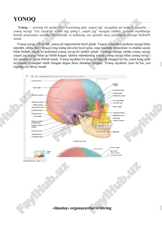 kasb xunar kollejlari uchun o`quv qo`llanma. toshkent, 2005. 2.boymetov b.b., tolipov m.s. s.s azimov plastik anatomiya kasb xunar kollejlari uchun o`quv qo`llanma. toshkent, ilm ziyo 2016. 3 nashri 3.boymetov b.b. plastik anatomiya ( amaliy mashg`ulot ) oliy o`quv yurtlari uchun qo`llanma toshkent, 2013. axborot manbaalari https://www.google.com/search?q=kalla+suyagi+rasmi&rlz= https://www.google.com/search?q=pastki+jag%27+suyagi&tbm=i vedeo silkasi : https://www.youtube.com/watch?v=xaqneyzwvtg kalla suyak uchun video https://www.youtube.com/watch?v=srviomfdyeo pastki jag` suyak uchun muhim muammoning echimini topishga yordam beradi va “qanday” savoli orqali muammo hal qilinadi. qanday? qanday? qanday? qanday? qanday?