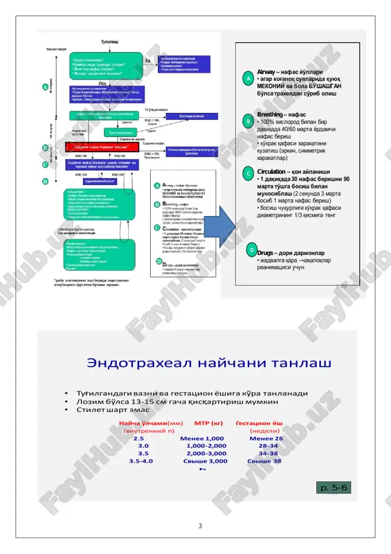 sfiksiya • yuqs 100 ta/min. dan kam boʼlsa (chaqaloq nafas olayotgan boʼlsa xam) • erkin oqim bilan 100% kislorod berilganda xam persistent sianoz belgilari oʼpkalar ventilyatsiyasi– chaqaloqda xavfli xolatlarda oʼyur oʼtkazishdagi yagona, eng muxim va eng samarali qadamdir ventilyatsiyani boshlashdan oldin: • mos keluvchi niqobni tanlang • nafas yoʼllari oʼtkazuvchanligini tekshiring • bolaning boshini toʼgʼri xolatga keltiring • oʼzingiz bolaning bosh yoki yon tomoniga turing • niqobni bola yuziga qattiq bosmang • barmoq va kaftingizni bolaning kzoʼiga joylashtirmang • boʼynini (traxeyasi) ezmang germetiklikni taʼminlash uchun: pastki jagʼni niqob tomon koʼtarish mumkin 6 samarali ventilyatsi belgilari • yuqs ortishi va yaxshilanishi, teri rangining qizarishi, mushak tonusining yaxshilanishi, mustaqil nafasning paydo boʼlishi traxeya intubatsiyasi: koʼrsatmalar • qogʼanoq suvlarida mekoniyning boʼlishi, bola faol emas • uzoq muddatli oʼpka ventilyatsiyasi koʼzda tutilsa • qopcha va niqob orqali ventilyatsiyaning samarasizligi • ventilyatsini kompressiya bilan koordinatsiya qilish uchun maxsus koʼrsatmalar: ektremal kam vaznli bola tugʼilsa, diafragmal …