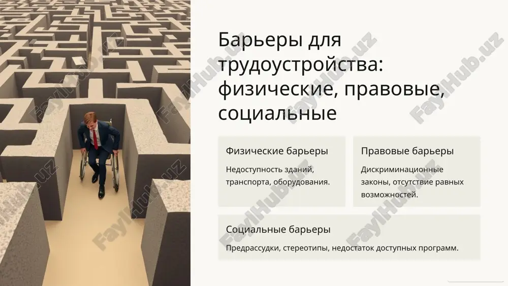 problemi trudoustroystva lyudey s invalidnostyu: mirovoy opit - Page 3