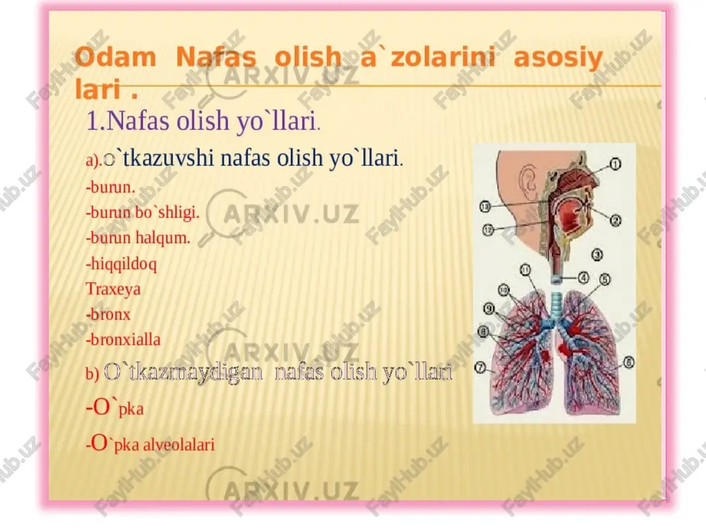 laffuzning aniqligiga va matnning mantiqiy izchilligiga e ’tibor beriladi. 5.she’r o‘qish mashqi. bu mashqda g‘oyaviy-badiiy jihatdan yuksak bo‘lgan uzun misrali she’ring oldin bir misrasi bir nafasda, keyin ikki misrasi bir nafasda va hokazo tarzda o’qiladi. badiiy adabiyotning yuzaga kelish tarixi qanchalik qadimiy bo’lsa, ifodali o‘qish tarixi ham shu qadar uzoq zamonlarga borib taqaladi. mazmundor va ifodali nutq hamma davrlarda ham kishilami o‘ziga jalb etib ijtimoiy hayotda alohida o‘rin egallab kelgan. ifodali o‘qish, avvalo, xalq san’atidir. chunki badiiy adabiyot dastavval xalq og‘zaki ijodi shaklida paydo bo‘lgan. xalq yaratgan asarlarning keng tarqalishida esa og'zaki ijrochilik san’ati muhim ahamiyat kasb etgan qo‘shiq, ertak, doston, qissa kabi og‘zaki adabiyot namunalarini yaratgan xalq namoyondasi (ertakchi, qissaxon, baxshi) bir paytning o‘zida ham ijodkor, ham ijrochi edi. binobarin, asrlar davomida yaratilgan afsona va rivoyatlar, maqol va matallar, qo'shiq va dostonlar, og'zaki ijrochilik, ifodali nutq san’ati tufayligina bizgacha yetib keldi. xalq yaratgan asarlar qanchalik donishmandlik va san’atkorlik mahsuli …