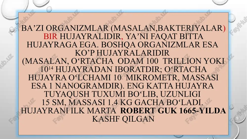 ayraning bir mitozdan ikkinchi mitozga bo’lgan rivojlanish bosqichi interfaza deyiladi. interfaza go’yo hujayraning tinim holatidek ko’rinsada, aslida unda juda katta hayotiy jarayonlar ro’y beradi. birinchidan hujayra o’sib kattalashadi. ikkinchidan unda oqsillar, uglevodlar, yog’lar zaxirasi to’planadi, fermentlar faolligi ortadi. rnklar hosil bo’ladi, uchinchidan dnk molekulasi ikki hissa ko’payadi. interfaza bosqichidan so’ng , mitoz bo’linish boshlanadi. u to’rtta profaza, metafaza, anafaza, telofazadan tashkil topadi. metafazada xromosomalar hujayra markaziga to’planadilar. har bir xromosomaning sentromeri axromatin ipiga birikadi. anafazada xromatidalarni birlashtirib turuvchi sentromeralar bo’linib, xromatidalar, bir-biridan ajralib ketadi, qutblar tomon yo’naladi. telofazada xromosomalar ikki qutbga to’planib spirallari yoyila boshlab ingichkalashib ketadi va ikkita yadro hosil bo’ladi. sitoplazma ikkiga ajralib o’rtasida plazmatik membrana shakllanadi. shunday qilib mitoz bo’linish yadroning va sitoplazma bo’linishi –sitokinezdan iborat. ayrim holatlarda sitokinez kuzatilmaydi ,oqibatda ko’p yadroli hujayralar hosil bo’ladi. mitoz bo’linishida xromosomalarning diploid to’plami saqlanadi. mitoz –bir va ko’p hujayralarning jinssiz ko’payishi, meyoz esa jinsiy ko’payish asosini tashkil etadi. hayotning …