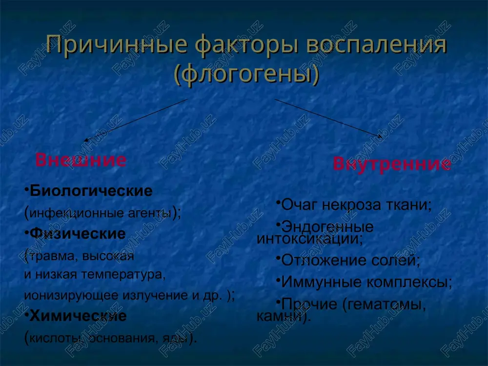 e gipergicheskoe giperergicheskoe * klinicheskie priznaki vospaleniya tumor rubor calor dolor functio laesa * pokrasnenie (rubor)- razvitie arterialnoy giperemii, uvelichenie pritoka krovi s povishennim soderjaniem kisloroda, uvelichenie kolichestva funktsioniruyushix kapillyarov; pripuxlost (tumor) – arterialnaya i venoznaya giperemiya, eksudatsiya, emigratsiya leykotsitov; jar (calor) - usilenie obmena veshestv na rannix stadiyax vospaleniya, pritok krovi s bolee visokoy temperaturoy (osobenno pri vospalenii koji i slizistix, usileniem teplootdachi za schet giperemii). proisxojdenie klinicheskix priznakov vospaleniya * bol (dolor) - razdrajenie retseptorov v ochage vospaleniya mediatorami vospaleniya (osobenno kininami i prostaglandinami, izmeneniem ph, osmoticheskogo davleniya, dizioniey, mexanicheskim razdrajeniem retseptorov v rezultate pripuxlosti v ochage vospaleniya). narushenie funktsii (functio laesa). pri vospalenii otmecheni povrejdenie kletok, narushenie obmena veshestv, krovoobrasheniya, nakoplenie mediatorov vospaleniya, izmeneniya elektrolitnogo balansa, ph, osmoticheskogo i onkoticheskogo davleniya, protsessi proliferatsii. v etix usloviyax osushestvlenie funktsii komponentami funktsionalnogo elementa, a sledovatelno, i organa nevozmojno. proisxojdenie klinicheskix priznakov vospaleniya * osnovnie komponenti vospaleniya alteratsiya; sosudistaya reaktsiya …