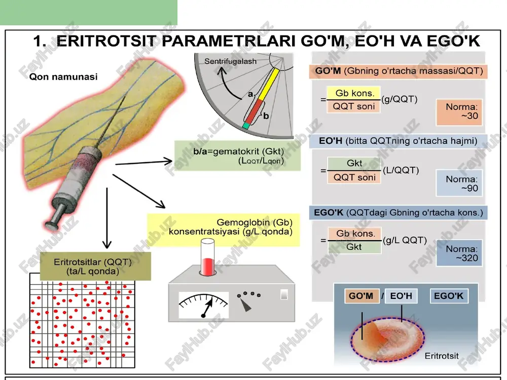 tashxis parametrlari ixtisoslashishdagi virusli infeksiya gen nugsoni fe yetishmovchiligi eritrotsitlar nugson yautoimmun ' folly kislota yetish- " globin sintezidagi —_(nugsonlar, shikast- ireaksiyasi movehiligi | nugson lanish. parazitlar) , buyrak yetish- b12 yetishmov- 1 1 gem sintezidagi ' surunkali movehiligi h chiligi ! nugson 9 1 gon ketish suyak ko'migi es gemoliz ujayra dosh hujayrasi proeritroblast eritroblast eritrotsit surunkali qon yo'gotish 2. anemiya ko'rsatkichi sifatida eritropoetin konsentratsiyasi mas., a &-dicicrotol r tetragidrofolat ,8-digidrofola timidilat ; : dezoksi- sintaza fiidilat ————> _ dm sintezi