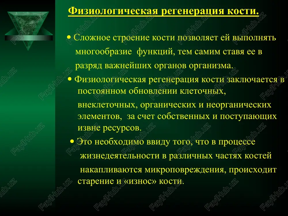 proliferatsii; 4. faza differentsiatsii. reparativnaya regeneratsiya kosti po shaposhnikovu yu.g.. pervaya faza – faza ostrix narusheniy krovotoka.  pri perelomax narushaetsya normalniy tok arterialnoy i venoznoy krovi v kosti.  proksimalniy i distalniy otlomki ne soedinyayutsya edinoy vnutrikostnoy sistemoy tsirkulyatsii.  proisxodit kompensatornoe pereraspredelenie toka krovi, i voznikayut dva otdelnix basseyna vnutrikostnogo krovotoka (proksimalniy i distalniy).  izlivshayasya pri perelome krov formiruet vokrug kontsov kosti gematomu.  eta faza soprovojdaetsya gipoksiey tkaney v oblasti pereloma, rasshireniem i povisheniem pronitsaemosti kapillyarov, vozniknoveniem oteka. sxematicheskoe izobrajenie narusheniy vnutrikostnogo krovotoka pri perelomax razlichnix kostey. reparativnaya regeneratsiya kosti po shaposhnikovu yu.g.. vtoraya faza – faza dezorganizatsii kletochnix i tkanevix struktur.  eta faza soprovojdaetsya gibelyu i razrusheniem differentsirovannix kletok, s dalneyshim nakopleniem produktov raspada.  kak rezultat etogo protsessa proisxodit rasshirenie mikrotsirkulyarnogo rusla i vozniknovenie novix, kontsevix arterio-venoznix svyazey.  voznikaet granulyatsionnaya tkan, kotoraya sposobstvuet postepennomu vozobnovleniyu mikrotsirkulyatsii v zone povrejdeniya. reparativnaya regeneratsiya kosti …
