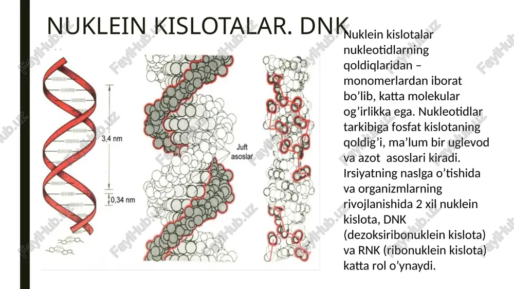 a tpakcnsauna => \. = phk - ahk phk-nosumepaza ‘be genetika (a.g'ofurov, s.fayzullayev).pdf - adobe reader @aiin pegaxruposanne mpocmorp oxho cnpaska - x x transiyatsia 135,1x177,8mm splayssng ' ‘ soe , 7 ec 1 1 2 ‘, , o \ ‘ an at + ' , « ’ mrnk { ekson ekson ekson ekson 1 2 3 4 wnctpymentpi 3anonhutb uv nognucatb kommextapun sto ist hosil bo‘lgan irnkd: leotidlar soni 0z bo‘ladi. sabab yetilmagan pre- tarkibidagi ekson va qismlar bir-biridan a) so‘ngra ekson qismlari birlashib yetilgan pre- hosil etadi. pre-irb shunday yo‘l bilan irn bo'lishi splaysing deyila rasm). 63 - rasm. gent kodlanuvchi va kodlan gismlari. boiitn >» cozgatb pdf > pegaxtnposatb pdf > og6tequnute pdf > otnpasute dain v xpanenne daiinos éy vo xpanure pdf-aiinui u apyrne gokymertei 6 mhtephere monyualire aoctyn k hmm c pasmm4hbix yctpohictb. nogpo6hee by coxparu orkptite aiinet acrobat.com = umtonnasma z ease ahtukozoh ahcnalun …