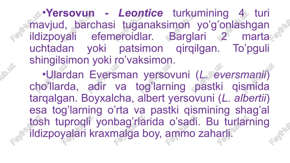 gsiz. mevasi-ko’sakcha. o’zbekistonda 2 turi (ungernia severtzovii, ungernia victoris) o’sadi. seversov qoraqobig’i - ungernia severtzovii ko’p yillik piyozli o’simlik. barglari 4-6 ta, poyasi silindrsimon, bo’yi 20-40 sm. to’pguli soyabonsimon, 7-12 gulli. mevasi-ko’sakcha, uch bo’lakli, chokidan ochiladi. qor ketishi bilan piyozidan o’sib chiqqan barglari may oyining ikkinchi yarmida quriydi. iyul oyida piyozidan bargsiz, oqish poya unib chiqadi va uning uchida to’pgul hosil bo’ladi. sentabr oyida gullaydi. tog’da toshli va chag’ir yonbag’irlarda o’sadi. dorivor o’simlik. o’zbekiston respublikasi – “qizil kitob”iga kiritilgan. shternbergiya - sternbergia turkumiga piyozli ko’p yillik o’t o’simliklar kiradi. mevasi ko’sakcha. o’zbekistonda bitta turi fisher shternbergiyasi - sternbergia fischeriana o’sadi. ko’p yillik piyozli o’t o’simlik. piyozchalari tuxumsimon, 3 sm qalinlikda. poyasi gullagan davrda 10 sm gacha, mevalagan vaqtda esa uzunroq bo’ladi. gullari sariq, 8-10 mm uzunlikda. fevral-mart oylarida gullaydi, urug’i aprel oyida yetiladi. fisher shternbergiyasi va sariq shternbergiya (f. lutea) noyob turlar sifatida o’zbekiston respublikasi - qizil kitobiga kiritilgan. 2-rasm. …
