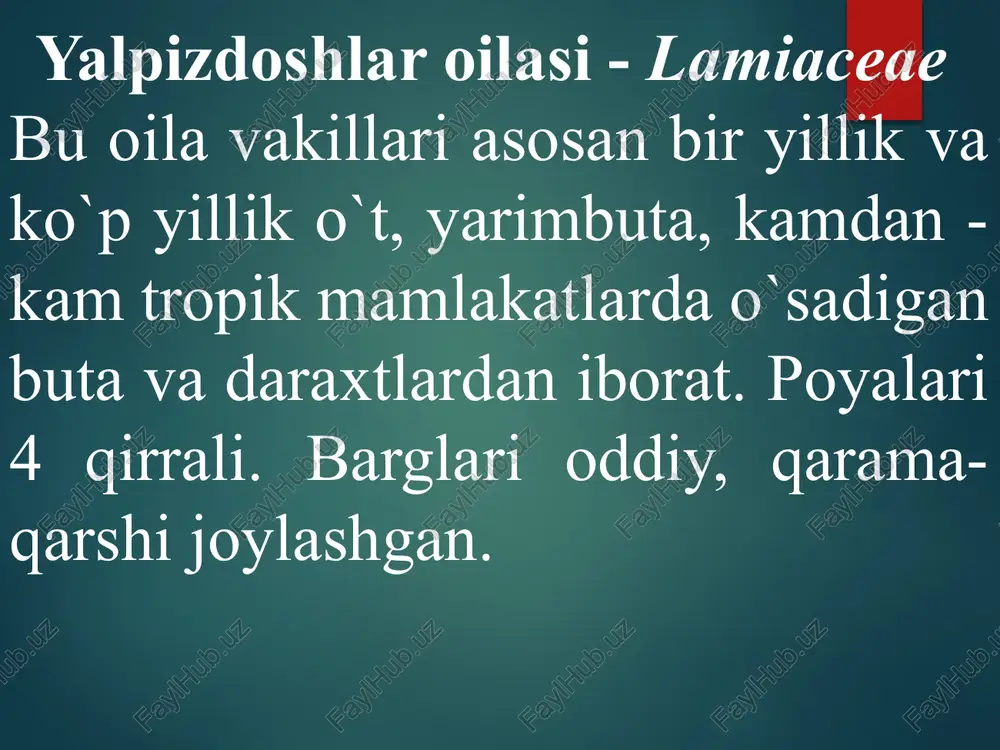 tukli va to`rt qirrali bo`ladi. tarkibida efir moyi, oshlovchi moddalar, askorbin kislota va fenol-karbon kislotalar bo`ladi. tibbiyotda tog`rayhondan tayyorlangan preparatlar ishtaha ochuvchi va ovqat hazm qilish jarayonini yaxshilovchi dori sifatida ishlatiladi. bulardan tashqari, u balg`am ko`chiruvchi dori va terlatuvchi vosita sifatida ham qo`llaniladi. efir moyi esa tish og`rig`ini qoldirish uchun ishlatiladi. marmarak (mavrak) - salvia turkumi ko`p yillik, bo`yi 20-50 sm ga etadigan yarim buta, ko`p yillik o`tlar. o`rta osiyoda 34 turi, o`zbekistonda 14 turi o`sadi. marmarak - s. sclerea. bargi tarkibida efir moyi, alkaloidlar, oshlovchi moddalar, flavonoidlar, hamda boshqa birikmalar bor. marmarak bargining preparatlari burishtiruvchi, dezinfeksiyalovchi va yuqori nafas yo`llari yallig`langanda yallig`lanishga qarshi ta`sir etuvchi dori sifatida, og`iz (stomatit) va tomoqni chayqash uchun ishlatiladi. zaytsegub opyanyayushiy — endemik sredney azii. rasprostranyon v samarkandskoy i buxarskoy oblastyax uzbekistana. vstrechaetsya v nekotorix rayonax turkmenii i tadjikistana. polukustarnik s mnogochislennimi steblyami visotoy ot 20 do 80 sm. tsvetyot v iyune — sentyabre. …