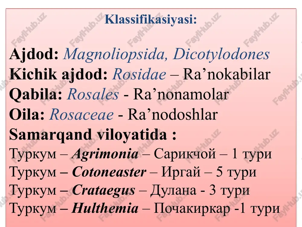 . do`lana turkumini 300 turi uchraydi. samarkandda – 3 turi bor. tarkibida- flavonoid, oshlovchi moddalar, efir moyi bor. xalk tabobatida – bosh aylanishda, siydik xaydovchi, shamollash, yurak kasalliklarida ishlatiladi. qizil do`lana olxo`ri turkumiga 4 tur kiradi: tog`olcha, olho`ri, olvolilar kiradi olxo’ri olcha turkiston do’lanasi bodom mevasi ra`nodoshlar oilasi muhim oziq-ovqatda foydalaniladigan vakillari qizil maymunjon zangori maymunjon qulupnay bodom guli shaftoli mevasi ra`nodoshlar oilasidan o`zbekiston respublikasi “qizil kitobi” ga 2 turi kiritilgan: olga sorbariyasi- sorbaria olgae o`rta osiyo noki - pyrus asia –mediae (popov) maleev image1.jpeg image2.png image3.png image4.png image5.png image6.png image7.jpeg image8.jpeg image9.jpeg image10.jpeg image11.jpeg image19.png image20.jpeg image21.jpeg image12.jpeg image13.jpeg image14.png image15.png image16.png image17.png image18.png image22.jpeg image23.jpeg image24.png image25.jpeg image26.jpeg image27.jpeg image28.jpeg image29.jpeg image30.jpeg image31.jpeg image32.jpeg image33.jpeg image34.jpeg image35.jpeg image36.jpeg image37.jpeg image38.png is) zh_ras5-2 - windjview [eco] fem] ain mpaeke bq vicrpymennss oxio mowouse saheb us s| e wz -oh/q0|halom -~eoh oma zh res5-2 a & ‘crp. 202 ws 582 …