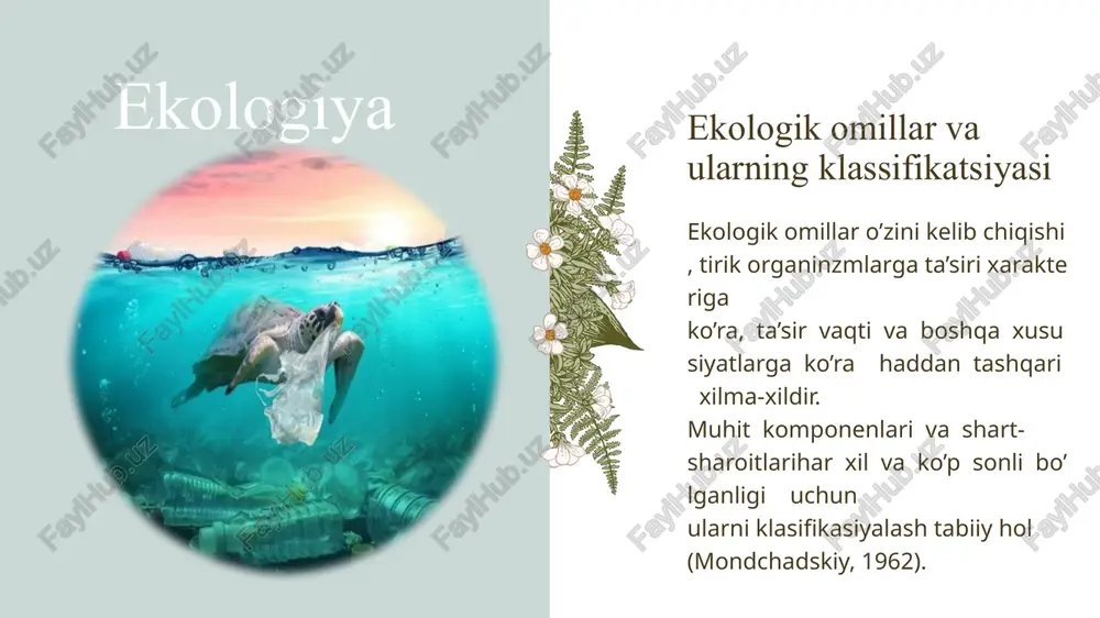 igini asosi bo’lib hisoblanadi (misoluchun populyasiya individlarni soni, zichligi, biomassasi, ko’payish tezligi,tuxumlar soni va hokazolar). bundan kelib chiqqan holda bunday guruh omillarini quyidagilarga ajratish mumkin: birinchidan, individ va populchsiya darajasida genetik informasiyalar (bunday omillar ontogenoz, organizmlarning trofik bog’liqligi, ko’payish jadalligi, xulq xarakteri biosenosik va tabiiy tanlanish aniqlanishi mumkin); ikkinchidan, biosenosik sfera omillari bo’lib, ular ekosistema biotasining rivojlanishini xarakterlaydi (tirik organizining bir-biriga ta’sir formulalari). zagolovok prezentatsii har qanday organizm boshqa tirik mavjudodlarni bilvosta yoki bevosta tasirida bo’ladi, ya’ni o’z turiga mansub bo’lgan va boshqa tur individlari bilan aloqada bo’li(o’simliklar va hayvonlar, mikroorganizmlar bilan) , ulardan bog’liq bo’lishi va ularga ta’sir qilishi. bunday xolat biotik omillarni quyidagicha ajratishimizga asos bo’la oladi: 1.fitogen omil-o’simliklarning ta’siri (bevosita va bilvosita). o’simliklarning bir-biriga bunday ta’siri ularning hamjihat yashovchanligiga katta ahamyatga ega, ya’ni boshqa tur o’simliklarni o’sishiga stimul yoki ingibitorlanuvchi xarakterli ta’sir o’tkazishi mumkin; 2. zoogen omil hayvonlarning ta’siri (oziqlanish, poymol qilish va boshqa xil mexanik ta’sirlar, …