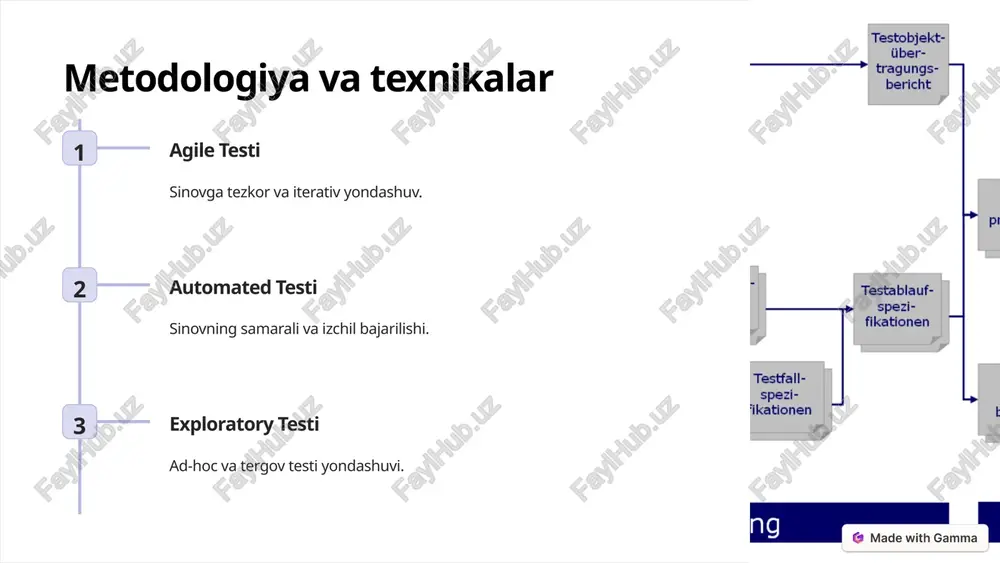 dasturiy ta'minotni sinovdan o'tkazish maqsadlari - Page 3