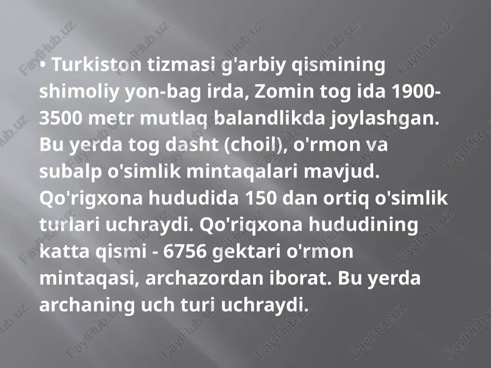 zominvachotqolsurxonqo’riqxonasi - Page 3