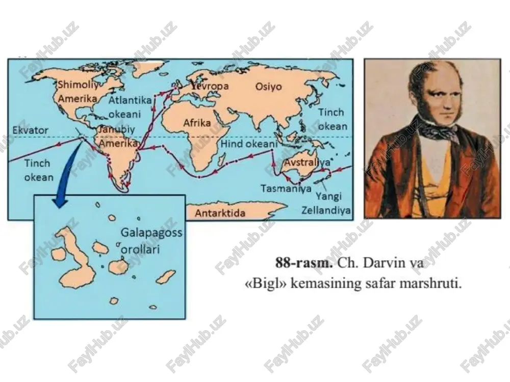 ajriba orgali isbotlash imkoniyatiga ega bo‘lmagan. xx asr ikkinchi yarmida akademik k. d. belyayev sun’iy tanlash yo'li bilan yovvoyi hayvonlarni xonakilashtirisn mumkinligini tajriba orqali isbotlab berdi. u kumushsimon gorda tulkilar ustida kuzatish ishlarini oli borib, ularning odamga nisbatan xaitti-harakati har xil ekanligini aniqladi. tulkilarning bir guruhi odamga tashlanuvchan, o‘ta tajovuzkor, ikkinchi guruhi odamga tashlanishga qo'rqib turadigan, lekin unga tashlanishni xohlaydigan, uchinchi guruhi esa xotiriam instinktli ekanligi ma’lum bo'ldi. u uchinchi gurux tulkilarni tanlab olib nasllar ustida ish oli bordi va tulkilarda quyidagi ikki holat o’zgarganini kuzatdi. xuddi xonaki itlarga o‘xshash, ya'ni odamga tez o'rganadigan, erkalaganda xursand bo'ladigan tulkilar chigarildi. xatti harakatiga qarab o'tkazilgan sun'ly tanlash natijasida tulkilarning morfologik va fiziologik belgilari ham o'zgardi. tajribada tashqi qulog suprasi osilgan, dumini esa gajak holda egib turadigan tulkilar olindi. yovvoyi tulkilar odatda yilda bir marta-aprelda urchisa, xonakilashtirilganlari esa ikki marotaba dekabr-yanvar va mart- aprel oylarida urchigan. demak: morfologik va etiologik mezonlarda o'zgarish yuzaga …