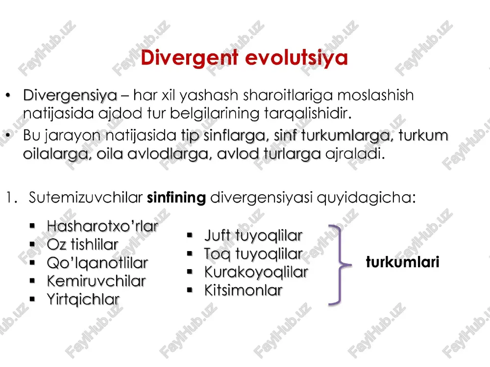 ko'tarmaydi. masalan: hayvonlarda morfologik moslanishlarning barchasi. o'simlik mevalarida ilgak, tikan, qanotlarning bo’ lishi kaktus bargini tikonga aylanganligi tovushgon yung rangini gqisnda yozda o’zgarishi ¢ hasharotxo'rlar turkumiga mansub hayvonlarning ba’zilari quruqlikda, suvda yoki yer ostida yashashga moslashganligi ham idioadaptatsiyaga misoldir 118-rasm. sutemizuvchilar sinfining hasharotxo'r tur- kumiga mansub hayvonlar. quruqlikdagi formalari: | — sakrovchi; 2 -tipratikan; 3 — yerqazar. suvda va quruqlikda yashov- chi formalari: 4 — kutora; 5 — qunduzsimon yerqazar; 6 — krot; 7 — oltinrangli krot; 8 - vixuxol. umumiy degeneratsiya bu organizmlarni tarixly jarayonda murakkab tuzilisndan oddiy tuzilisnga o’tishidir. aslida degeneratsiyada organizm qandaydir a’zolarini yo'qotish orgali “tubanlashadi” ammo shu tubanlashish hisobiga progressga uchraydi. masalan: assidiya lichinkasida nerv, dum, ko’z kabi a’zolarning yo’ qolishi ikki pallali molluskalarda boshning yo’ golishi tasmasimon ch.larda hazm va harakat a’zolari yo’qgolishi. zarpechakda barg va ildizning yo’qolib uning o’rniga so'rg'ichlarning paydo bo’ lishi. yo’nalishlar orasida bog’lanishlar hayvonlar va o'simliklarning tarixly rivojlanishida aromorfozlar idioadaptatsiyaga nisbatan …