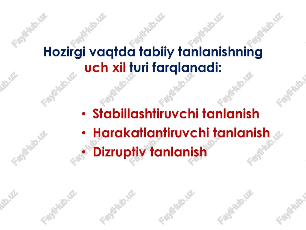 llarida uzun ganoftli hasharotlar kam, rudiment qanotli va qanotsiz hasharotlarning ko'pligini uchratgan. olimning izohlashicha, bunday orollarda gattig shamol bo 'lishi tufayli normal qanoftli hasharotlar unga bardosh bera olmasiligi sababli shamol vlarni uchirib, halok etgan. mutatsiyalar oqibatida kelib chigqgqan rudiment ganotl va qanotsiz hasharotlar mutlaqo havoga ko'tarilmay, turli yorigq, kavaklarga yashirinib olganiar. y.ba’zi bir qushlar, hasharotlar gano tining, tuyoglilarda yon barmoqlarning, g‘orlarda yashovchi hayvonlarda ko‘'z ning, parazit o'simliklarda ildiz va bargning yo'qolishi harakatlantiruvchi tanla nish ta’ siri natijasidir. dizruptiv tanlanish ba’zi hollarda muayyan joyda tarqalgan bir turga mansub organizmlar orasida bir-biridan farq giluvchi ikki va undan ortiq individlar guruhi uchrashi mumkin. chunonchi, ikki nugtali tugmacha qo'ng'‘izida mavsumiy polimorfizm hodisasini ko‘rish mmumkin. bu go'‘ng'izning goramtir va qizg'‘ish, qattigq qanoftli formalari bor. qizg'‘ish qanotlilar gishda haroratning pasayishi tufayli kam nobud bo'lib, yoz oylarida kam nas! beradi. qoramiir ganoitli formalilar gishda past haroratga bardosh berolmay ko'prog nobud bo'ladi va yoz oylarida esa ko'p nasl …