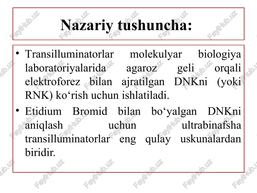 transillyuminator hamda gel-hujjatlashtiruvchi tizim (gel documentation system) - Page 3