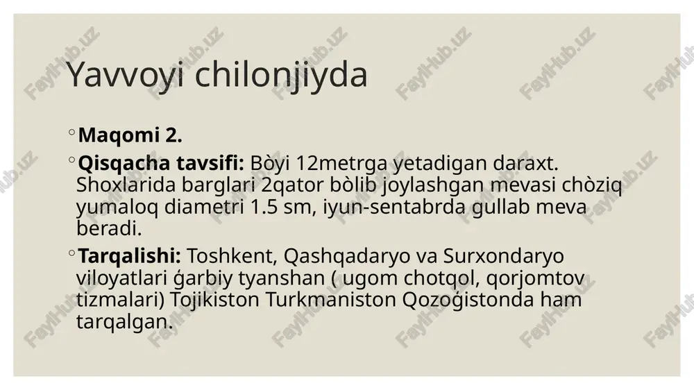 , o‘sish uchun deyarli yer tanlamaydi. etiboringiz uchun raxmat! image2.jpg image3.tmp image4.jpeg image5.jpeg image6.jpeg image7.jpeg image8.jpeg image9.jpeg image10.jpeg /docprops/thumbnail.jpeg buxoro davlat universten agronomiva va biqtexnologiva farulien biologiya yonalish 1344810. "2ogurue talabas| rozteva, shasnouaning osimuk va hayvonlarmimumofaza gush. tashircetsh taridarctahorlagan