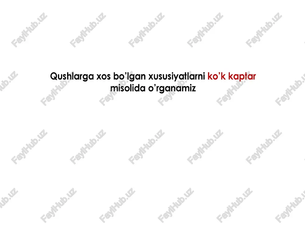 m aylanganida sariqlik ham aylanganidan, murtak doimo sariqlik ustida, ya'ni gush tanasi yaginida turadi embrionning tuxumdan chigishi eee ~ jo’ja ochadigan qushlar jish bola ochadigan qushlar tanasi par bilan qoplangan. ko'zi ochig bo'ladi. ¢ tanasi siyrak, mayin par bilan qoplangan. * ko’zi yumug bo'ladi. qirg‘ovul oe - kaptar, g‘oz * qaldirg‘och, tovuq ¢ chumchugq, * qarg‘a, ¢ musicha, ° laylak ¢ barcha yirtgich qushlar naslga g’amxo'rlik qilish ¢ tuxum bosish, jo‘jalarni boaish, isitish va ularni himoya qilisnhdan iborat. ¢ chug‘urchuglar - dushmanini sezganida ovozining boricha shovain solib, boshqa qushlarni yordamga chadgqiradi. ¢ yo'rg’a tuvalog’i - urg’ochisi yirtgichni o’ziga tortish u.n nayrang ishlatadi - ganotini yaralangan holatga keltirib oladi. - yirtgich uni quvish jarayonida bolalari yashirinio oladi qushlarning evolutsiyasi qadimgi sudralio yuruvchilardan kelib chiqqan. eng qadimgi qush — arxeopteriksning toshga aylangan suyak va patlari topilgan. u qushlar va reptiliyalar o’rtasidagi oraliq forma hisoblanadi. reptiliyaga o’xshashligi: - 20 ta umurtqadan iborat dumining …