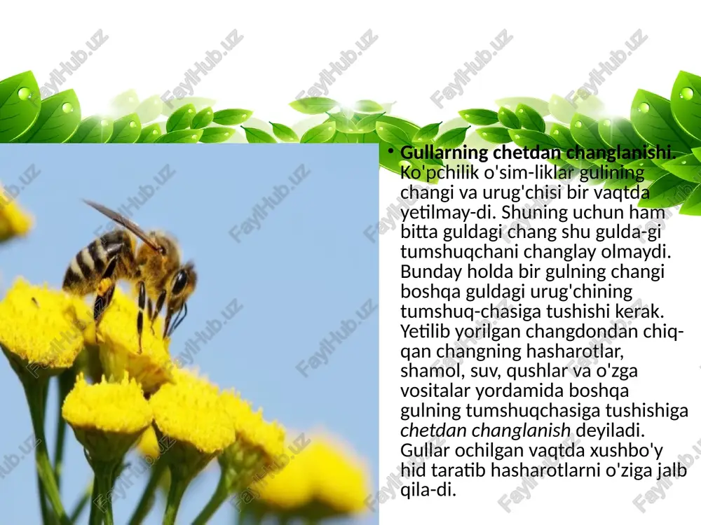 6-sinf gulli o’simliklarining changlanishi - Page 3