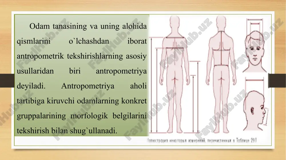 .); 4. diametrlar: (bo`yin, ko`krak, bel diametrlari, olddan va yon tomondan ko`rinishi); e’tiboringiz uchun raxmat image7.png image8.jpeg image9.png image10.png image11.png image12.jpeg image13.jpeg image14.jpeg image15.png image16.jpeg image17.jpeg image3.png image4.png a4 @ly. /docprops/thumbnail.jpeg