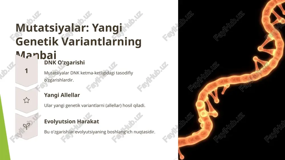 evolyutsiyaning genetik - Page 3