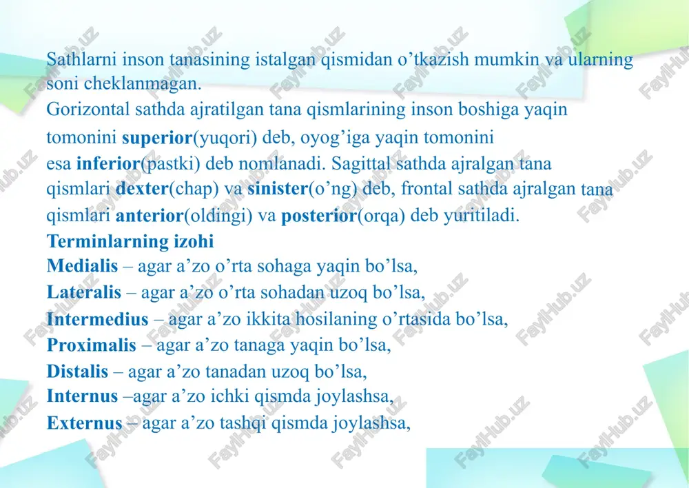 armoqlari shunday ataladi. masalan, aksonning terminal tarmoqlari. visceral (lotincha “viscera” – “ichki organlar”). tana bo’shlig’ida joylashgan organlarga, ularga boruvchi nerv va qon-tomir tarmoqlariga nisbatan ishlatiladi. masalan, oshqozon peritoneum viscerale bilan qoplangan. peritoneum visceraleni o’zini esa peritoneum parietale qoplagan. anatomiyani o'rganish umumiy tushunchalar bilan boshlanadi va biz ularni umumiy koordinata tizimida bo'lish uchun batafsil ta'riflashga qaror qildik. maqolada lotin so'zlari keltiriladi, shuning uchun bemor-mijozlarning xulq- atvorini muhokama qilib, lotin tilida gapirishga odatlangan shifokorlar bilan suhbatlashish osonroq bo'ladi. fitnes mashg'ulotining boshida har bir murabbiy bu atamani bilishi kerak, shuning uchun materialda yo'qolmaslik kerak. boshqa narsalar bilan bir qatorda, ushbu ma'lumot sizga fitness o'qituvchilari uchun har qanday kursni o'tishingizni osonlashtiradi. inson tanasini o'rganish shartli qabul qilingan boshlang'ich holatida amalga oshiriladi: tik turish, oyoqlari birgalikda, qo'llar magistral bo'ylab tushiriladi, palmalar oldingasiljiydi. trenerlar oqilona savolga ega bo'lishi mumkin: "nima uchun buni bilishim kerak va bu borada harakat qilishim kerak? menga qanday farq bor, mijoz qanday …