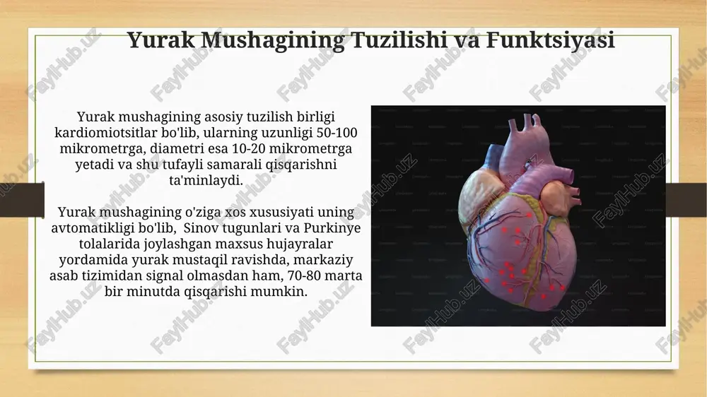 yaxshilashga yordam beradi. yaponiyaning kyoto shahridagi olimlar tomonidan olib borilgan tadqiqotlar shuni ko'rsatdiki, 50% gacha yurak mushagi shikastlanishidan keyin mir-210 kabi mikrornklarning maqsadli gen terapiyasi yurak to'qimalarining regeneratsiyasini sezilarli darajada yaxshilaydi. kardiomiotsitlarning rol va ahamiyati kardiomiotsitlar yurak mushagining asosiy funktsional birliklari bo'lib, taxminan 100 milliard hujayradan iborat bo'lib, yurakning ritmik qisqarishi va qon aylanishini ta'minlaydi. kardiomiotsitlarning regeneratsiya qobiliyati cheklangan bo'lsa-da, masalan, zebra baliqlari singari ba'zi organizmlarda, yurak mushagining 25% gacha qismi tiklanishi mumkin. klinik tadqiqotlar va natijalar aqshning boston shahridagi massachusets texnologiya instituti (mit) olimlarining klinik tadqiqotlari natijalariga ko‘ra, 100 nafar bemordan 45 tasida, eksperimental dori vositasi yordamida yurak mushagining shikastlangan qismining 25% qayta tiklangani aniqlandi. germaniyaning geydelberg shahridagi klinikalarda olib borilgan tadqiqotlar shuni ko‘rsatdiki, 150 bemordan 30 tasida yurak mushagi hujayralarining yangilanishiga olib keluvchi yangi terapiya usuli samaradorligi 70% ni tashkil etdi. yurak mushagi shikastlanishining mexanizmlari shikastlanishning 15% holatlarida genetik omillar muhim rol o'ynaydi, bu esa miokard displaziyasi va …