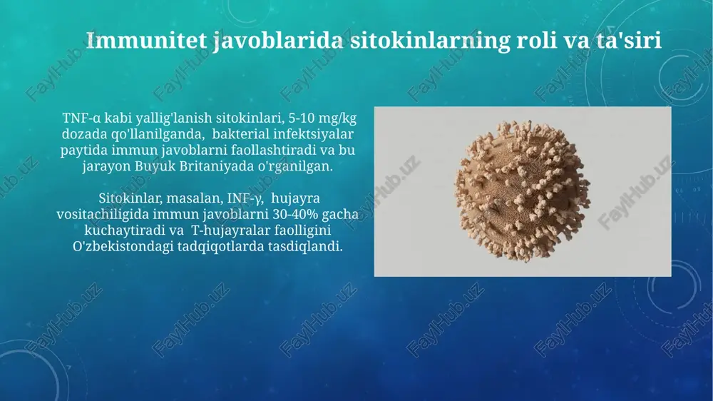 follikullarining hosil bo'lishi bilan ifodalanadi. suyak ko'migi va b-limfositlarning rivojlanishi suyak ko'migida rivojlanayotgan b-limfositlari qattiq seleksiyadan o'tadi: aniqlanmagan yoki avtoreaktiv b-hujayralar apoptoz orqali yo'q qilinadi, bu esa immunitet tizimining o'z-o'zini zararlanishidan himoya qiladi. b-limfositlarning yetuk shakllanishi uchun suyak ko'migida immunoglobulin genlarining v(d)j rekombinatsiyasi muhim ahamiyatga ega bo'lib, 10¹⁵ turdagi antigenlarni tan olish imkonini beradi. talpog' va uning immunologik ahamiyati talpogʻda topilgan dendritik hujayralar antigenlarni tanib oladi va ularni t-hujayralariga taqdim etib, adaptiv immun javobni 3-7 kun ichida boshlashga yordam beradi. talpogʻning limfoid toʻqimalari, masalan, peyer plastalari, 200 dan ortiq b hujayralarini oʻz ichiga oladi va shuning uchun ichak shilliq qavatining immunitet himoyasida muhim rol o'ynaydi. immunitet hujayralarining morfologiyasi miltillaydigan hujayralar (dendritik hujayralar), antigenlarni taqdim etishda muhim rol o'ynaydi va ularning uzun, nozik sitozomalari tufayli (taxminan 10-30 mkm uzunlikda) to'qimalarda keng tarqalib, antigenlarni limfotsitlarga etkazishni ta'minlaydi. limfotsitlarning 3 ta asosiy turi – t-hujayralar, b-hujayralar va nk-hujayralar – o'zlarining morfologik xususiyatlari bilan …