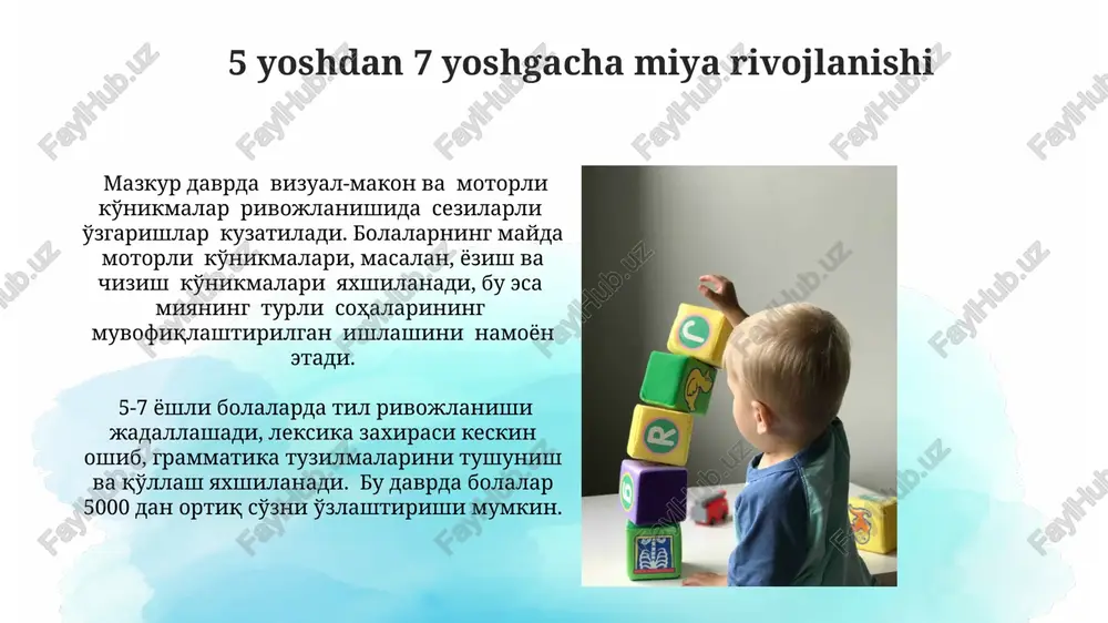 7yoshgacha bo‘lgan bolada bosh miyaning rivojlanishi - Page 3