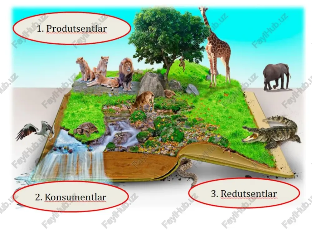 ee a <] 6co2 ‘ — s oo 6h:0 + cihn0« “© 40800. 4 2h:0 carbon cycle atmosphere 750 (=) storage in gtc fluxes in gtc/yr atmospheric cop ea \ ; een gs fossil fuels animals, animal respiration plant respiration | assimilation into soil assimilation by phytoplankton