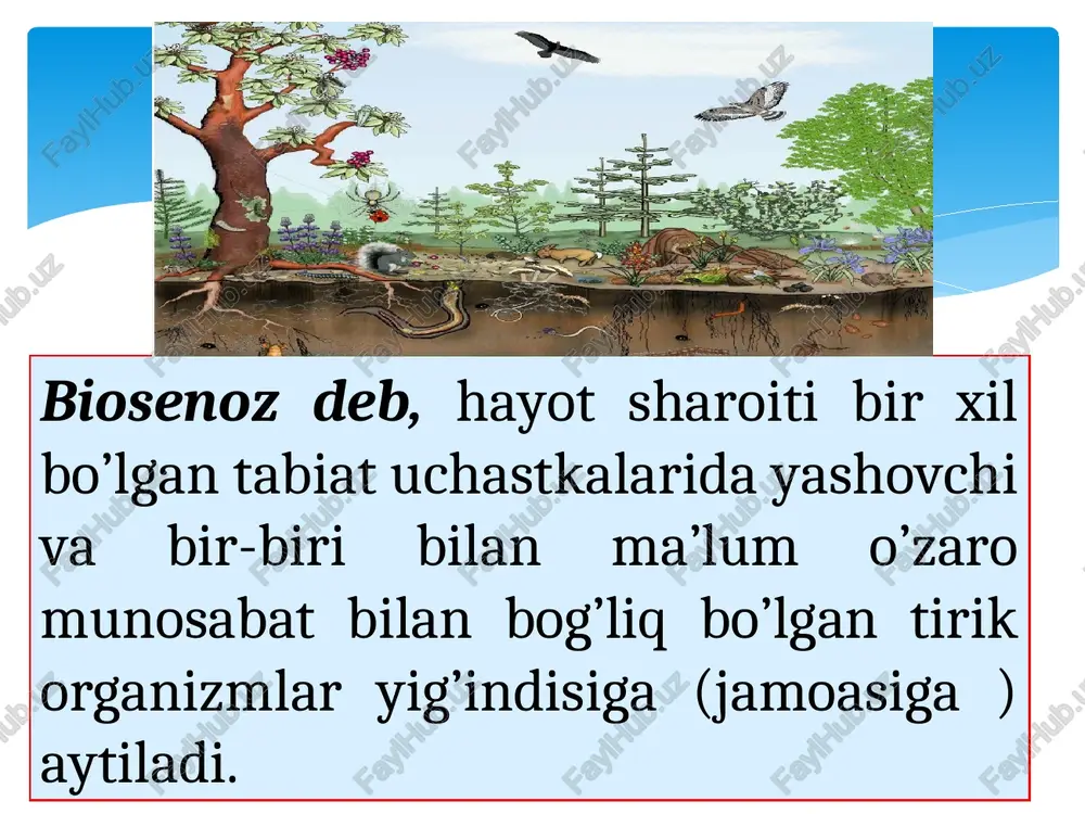 tatorlar deb ataladi. ue