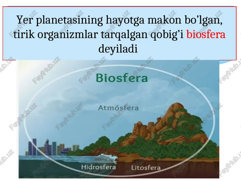 qamrab olgan ,ancha yugori tizimdir. biosfera bosqichida sayyoramizdagi tirik organizmlarning hayot faoliyati bilan bog’liq ravishda barcha moddalar va energiyaning davriy almashinuvi kuzatiladi. linsieme biosfera delle per state sempre po presenta al di irca 20 (sre) stratosfera j —composta—da_- \ ey uvetto cowrosta twwowueré~éassoso = ie che awolge la oe ‘troposfera metri qui ce’ aria