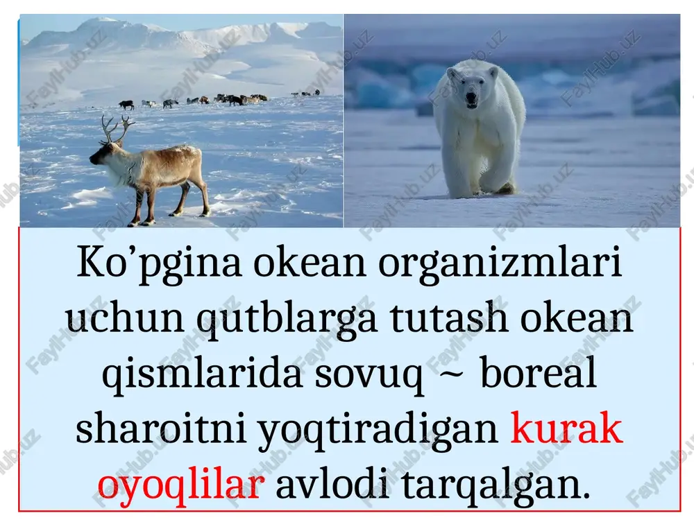 organizmlar va ularning jamoalari tarqalishining geografik qonuniyatlari - Page 3