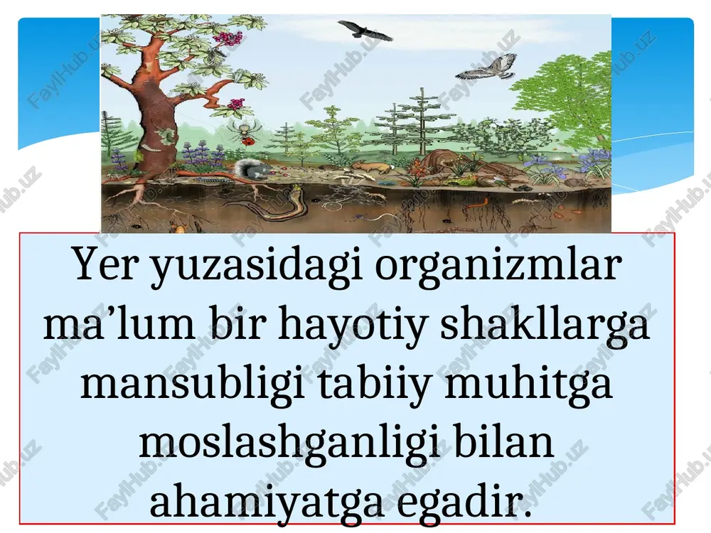 organizmlarning ekologik geografiyasi - Page 3