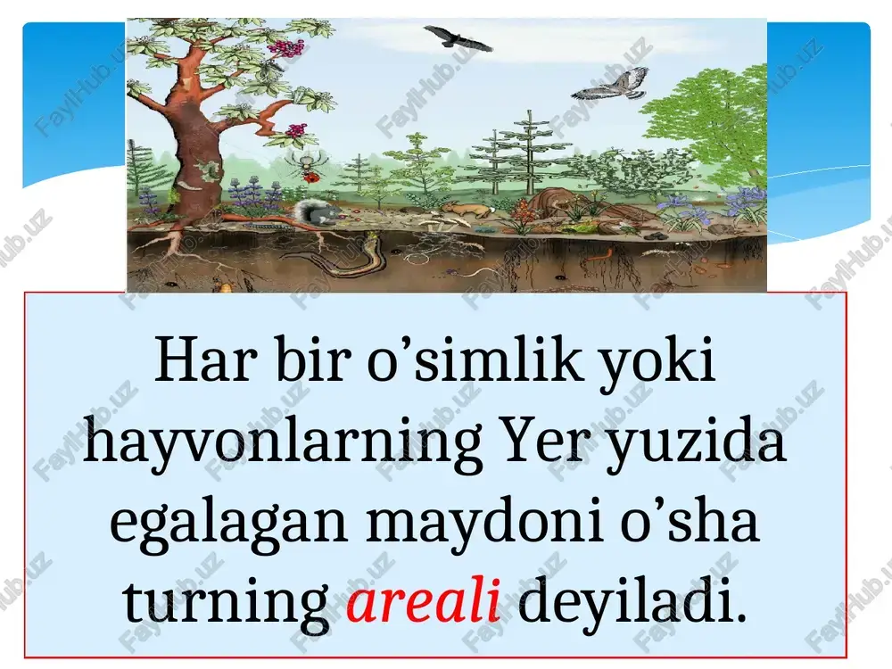 areallar haqida tushuncha - Page 3