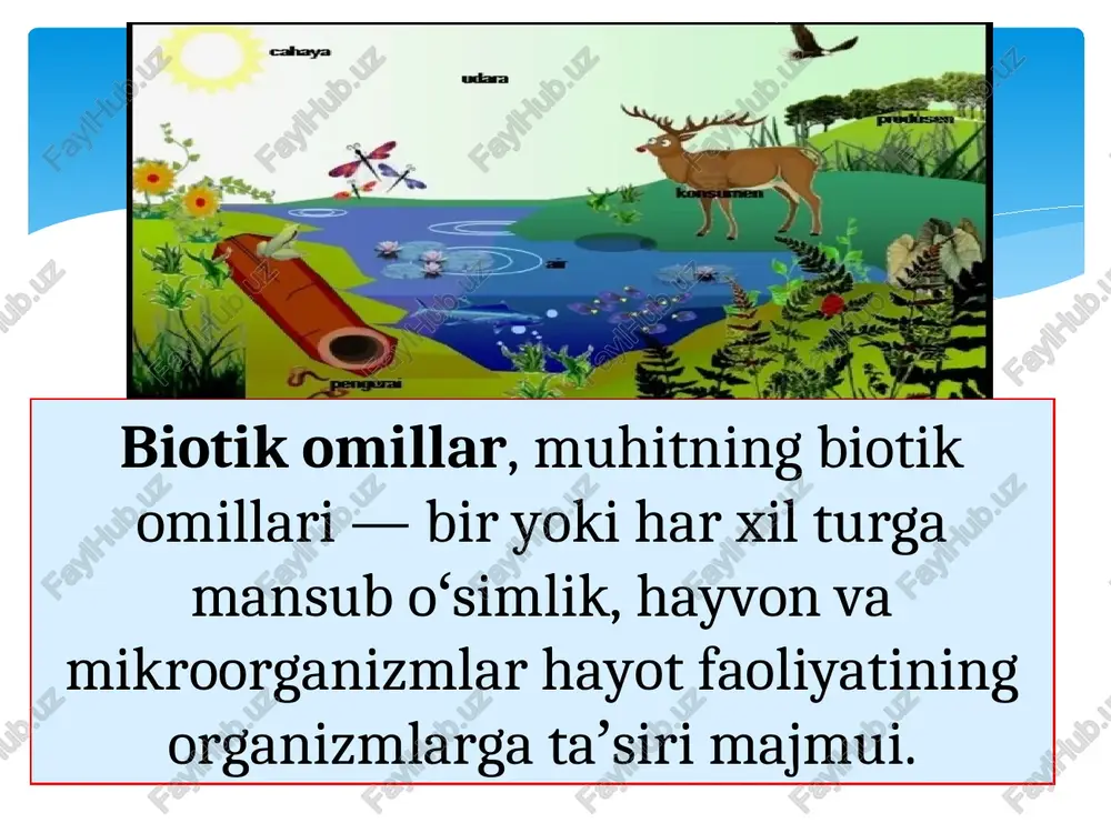 a deyiladi. statsiya- yashash joyi, yashash makoni mazmunini bildiradi. statsiya (lotincha: statio — joy, holat) — muayyan turdagi hayvon yashashi uchun zarur sharoit (relyef, iqlim, oziq, panajoy) mavjud boʻlgan joy. biotic factors are the livin was of an ecosystem and their activities t insolation _ abiotic components! biotic components =, : living ‘consumers herbivore: canivores non-living b ~ heat heat enéray. released at each stage s93) iil ey :