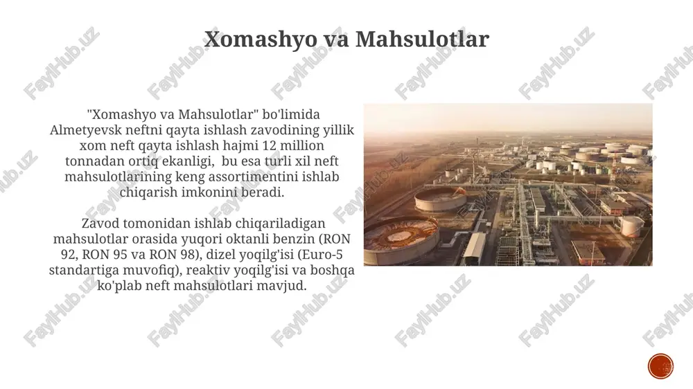 almetyevsk neftni qayta ishlash zavodi - Page 3