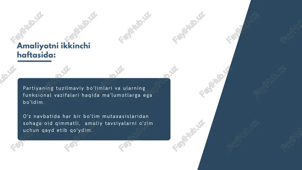 malakaviy amaliyot hisoboti - Page 3