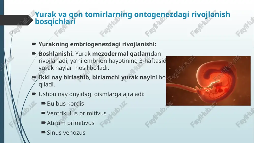 ir. endokrin tizim ham organizmlarning murakkablanishiga qarab bosqichma-bosqich rivojlangan. 1. pastki hayot shakllarida bir hujayrali organizmlarda gormonlar yo‘q, lekin hujayralararo signal almashinuv mavjud (masalan, feromonlar). umurtqasizlarda gormonlar o‘rnini neurosekretor hujayralar bajaradi. endokrin tizim hali shakllanmagan. 2. baliqlarda endokrin bezlar paydo bo‘lgan, ammo tuzilishi oddiy. hipofiz, qalqonsimon bez va jinsiy bezlar mavjud. ular suzish, o‘sish, ko‘payish kabi funksiyalarni boshqaradi. 3. amfibiyalar endokrin tizim rivojlangan, gormonlar tananing suvdan quruqlikka moslashishini ta’minlaydi. qalqonsimon bez metamorfoz (kurkalar to‘g‘onlaridan qurbaqalarga aylanish) jarayonida muhim rol o‘ynaydi. 4. sudralib yuruvchilar tana haroratini boshqarishda gormonlar ishtiroki ortadi. buyrak usti bezlari va jinsiy gormonlar faol bo‘ladi. 5. qushlar va sutemizuvchilar endokrin tizim yuqori darajada rivojlangan. gormonlar murakkab modda almashinuv, termoregulyatsiya, homiladorlik, laktatsiya, stress holatlariga moslashuvda faol ishtirok etadi. odamlarda bu tizim nerv tizimi bilan bevosita bog‘langan holda ishlaydi (masalan, gipotalamo-gipofizar tizim). endokrin tizimining rivojlanishining tibbiy ahamiyati ontogenez va filogenezdagi bilimlar tibbiyotda katta ahamiyatga ega: tug‘ma gormon yetishmovchiligi yoki ortiqchaligi …